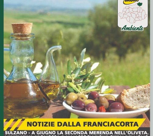 Sulzano – A Giugno la seconda merenda nell’oliveta