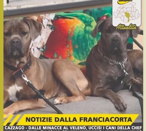 Cazzago – Dalle minacce al veleno, usccisi i cani della Chef Nadia Vincenzi. Gli esami confermerebbero l’avvelenamento